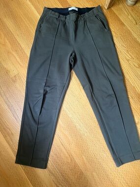 Everlane Green Tailored Dress Pants